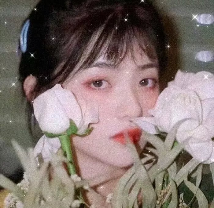 芈月传